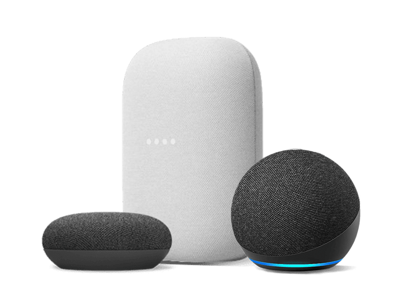 Picture of a Google Home